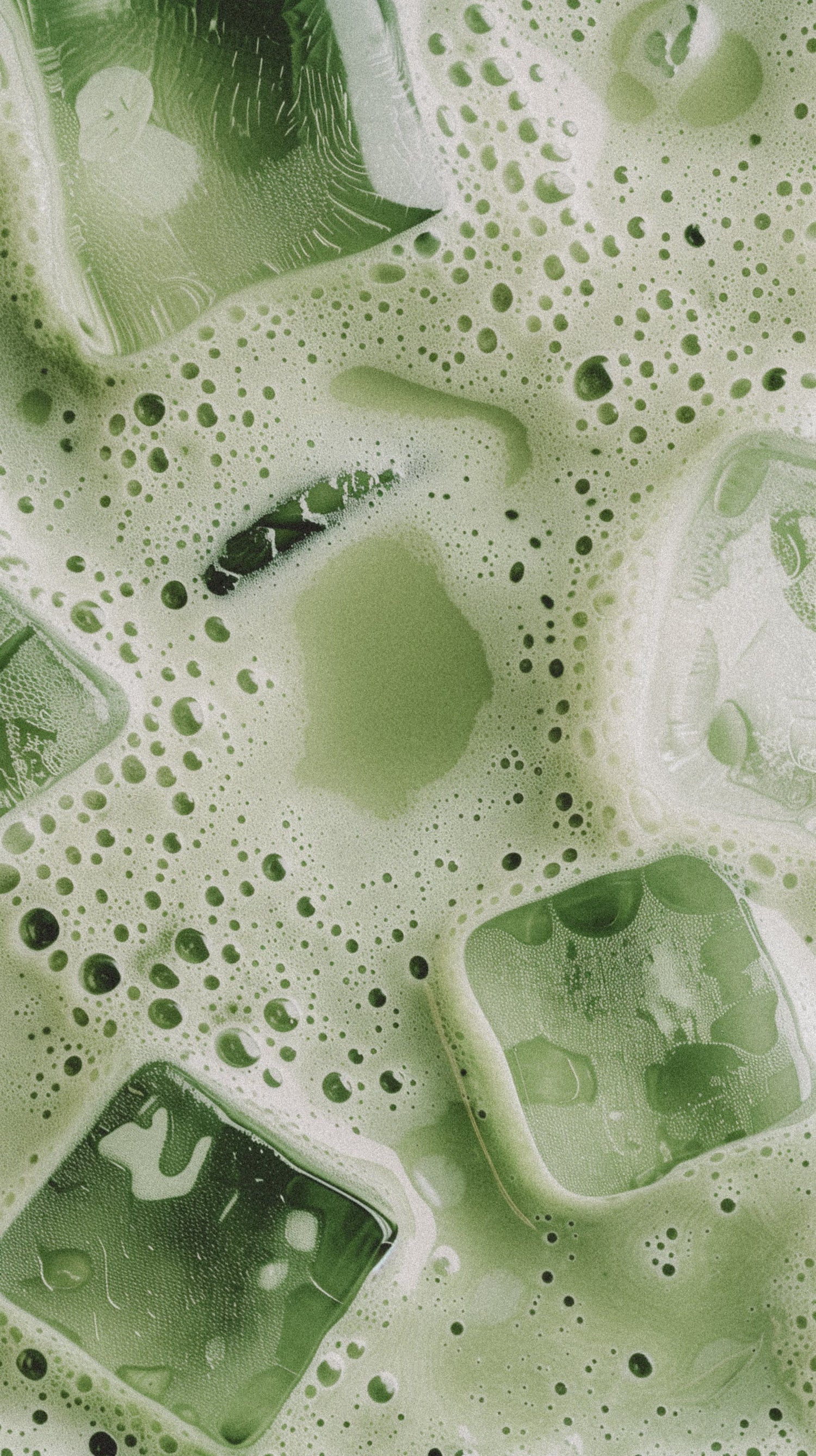 COMPLEMENTS ALIMENTAIRES