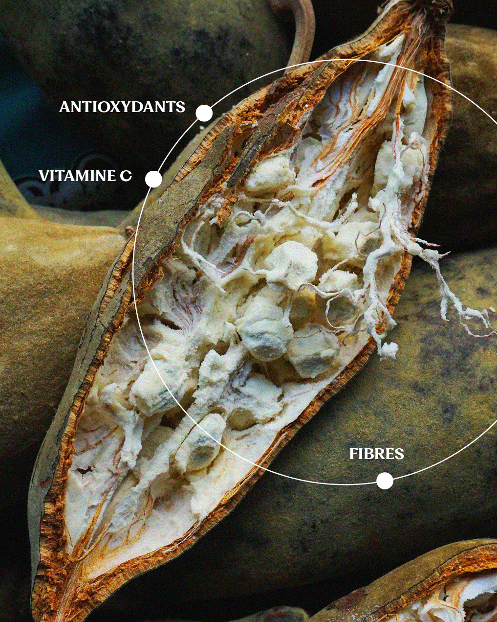 Poudre de Baobab BIO
