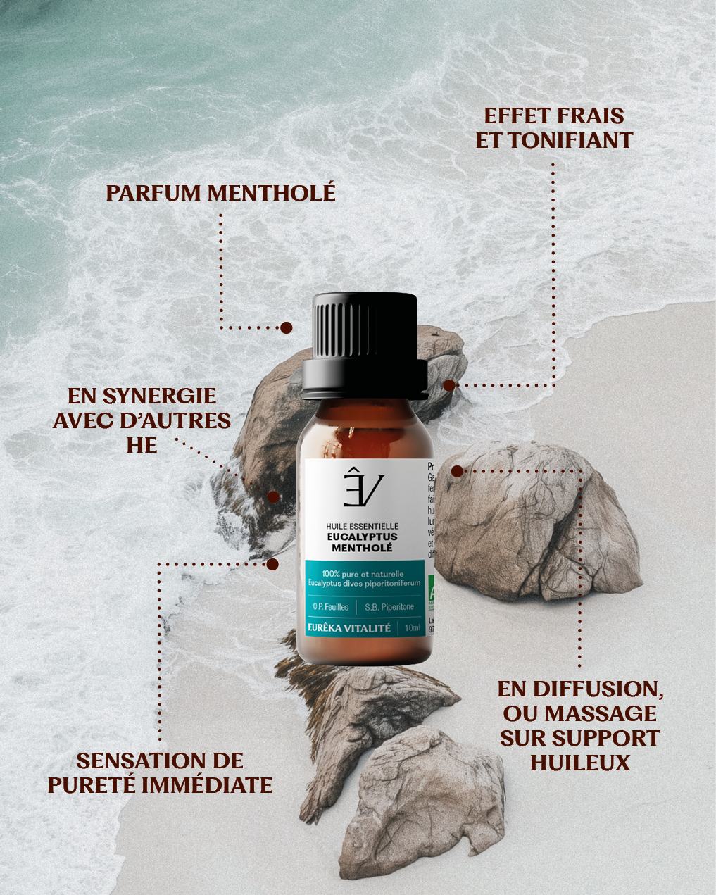 Huile essentielle Eucalyptus mentholé BIO (dives)