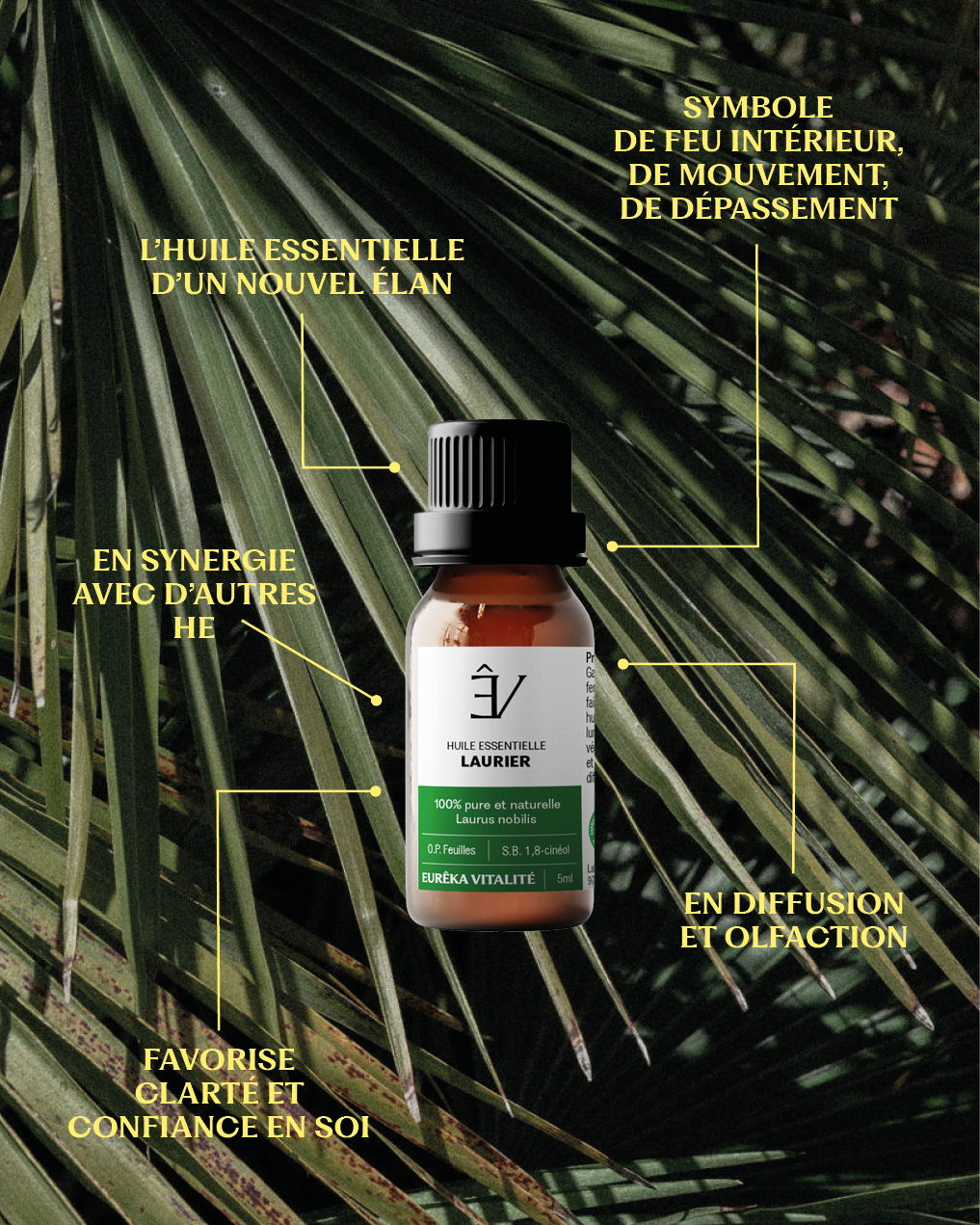 Huile essentielle Laurier