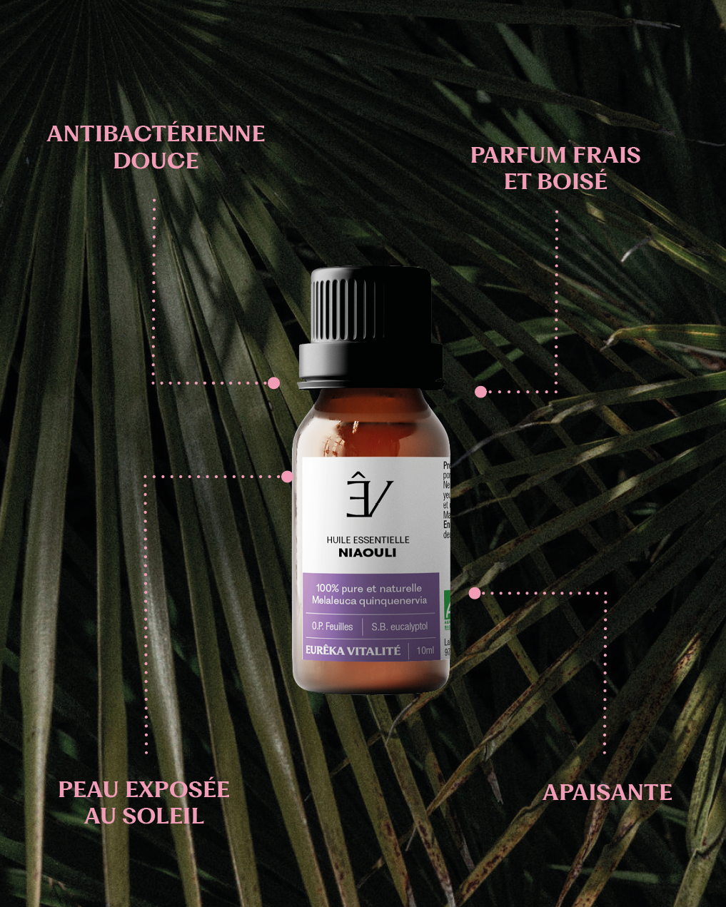 Huile essentielle Niaouli BIO