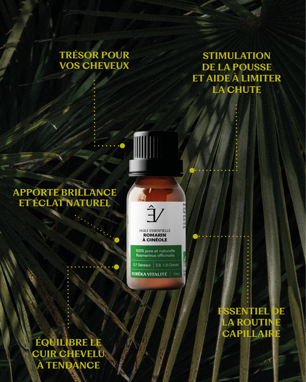 Huile essentielle Romarin à cinéole BIO