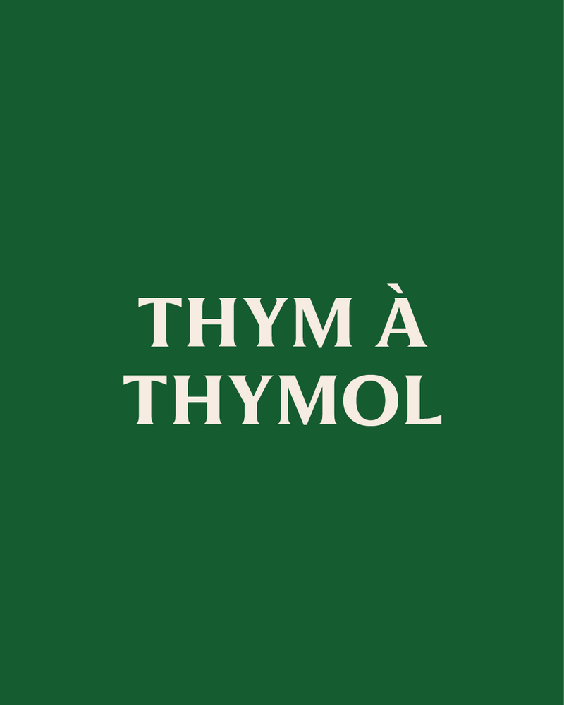 Huile essentielle Thym à thymol BIO