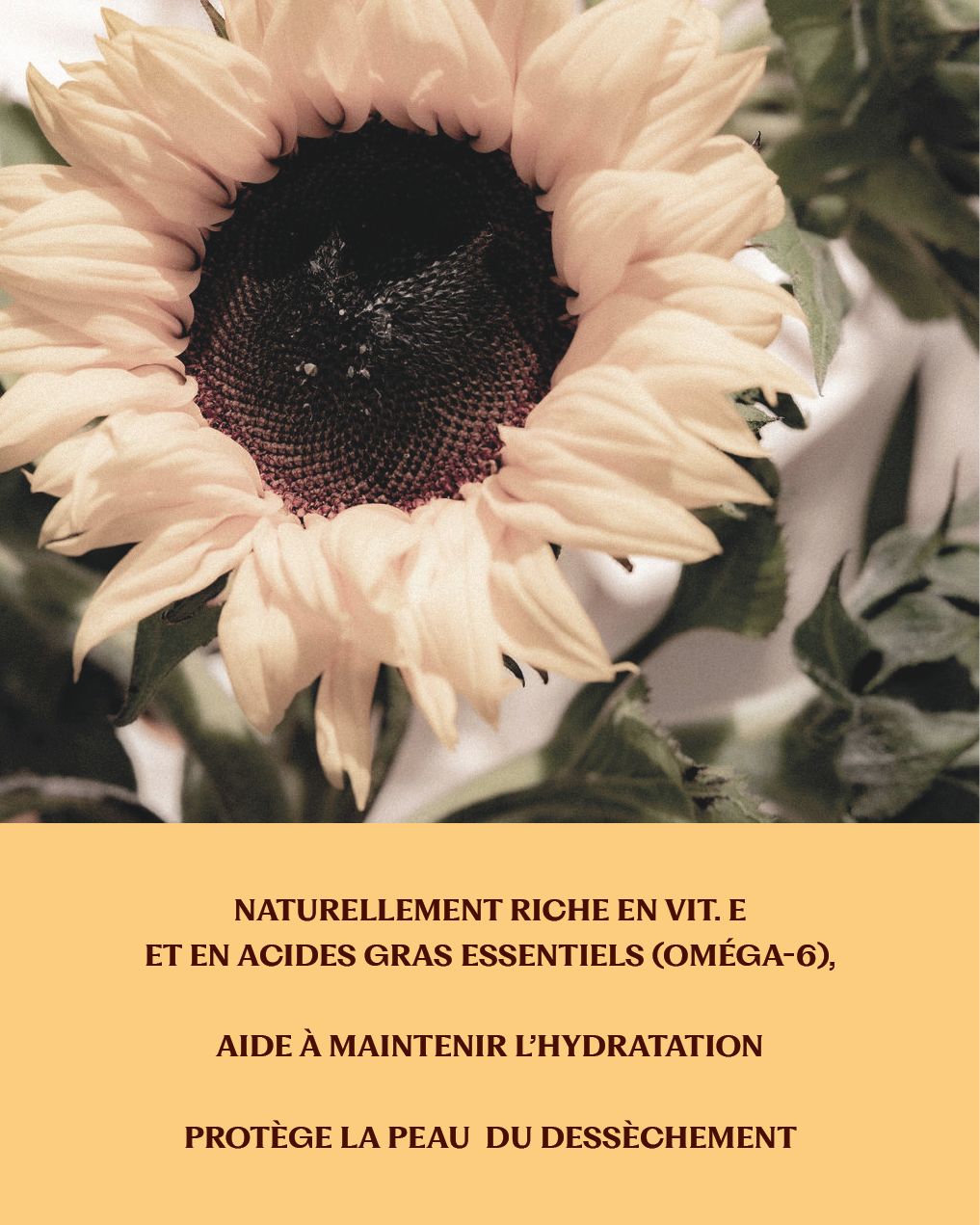 Huile végétale Tournesol BIO