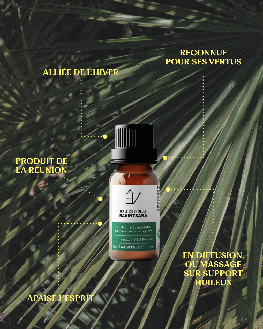 Huile essentielle Ravintsara Réunion