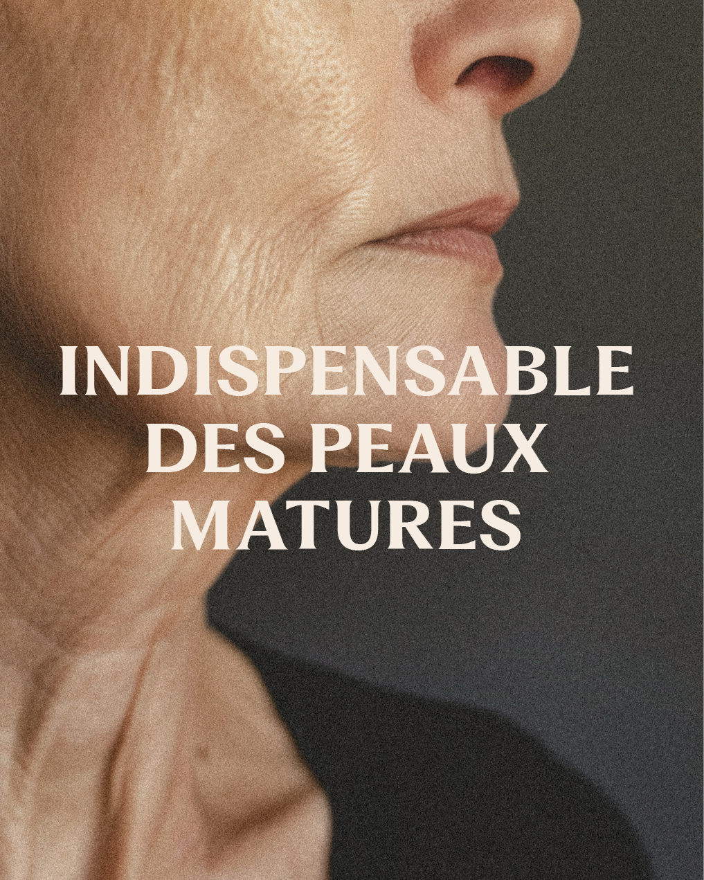 Huile végétale Rose musquée BIO