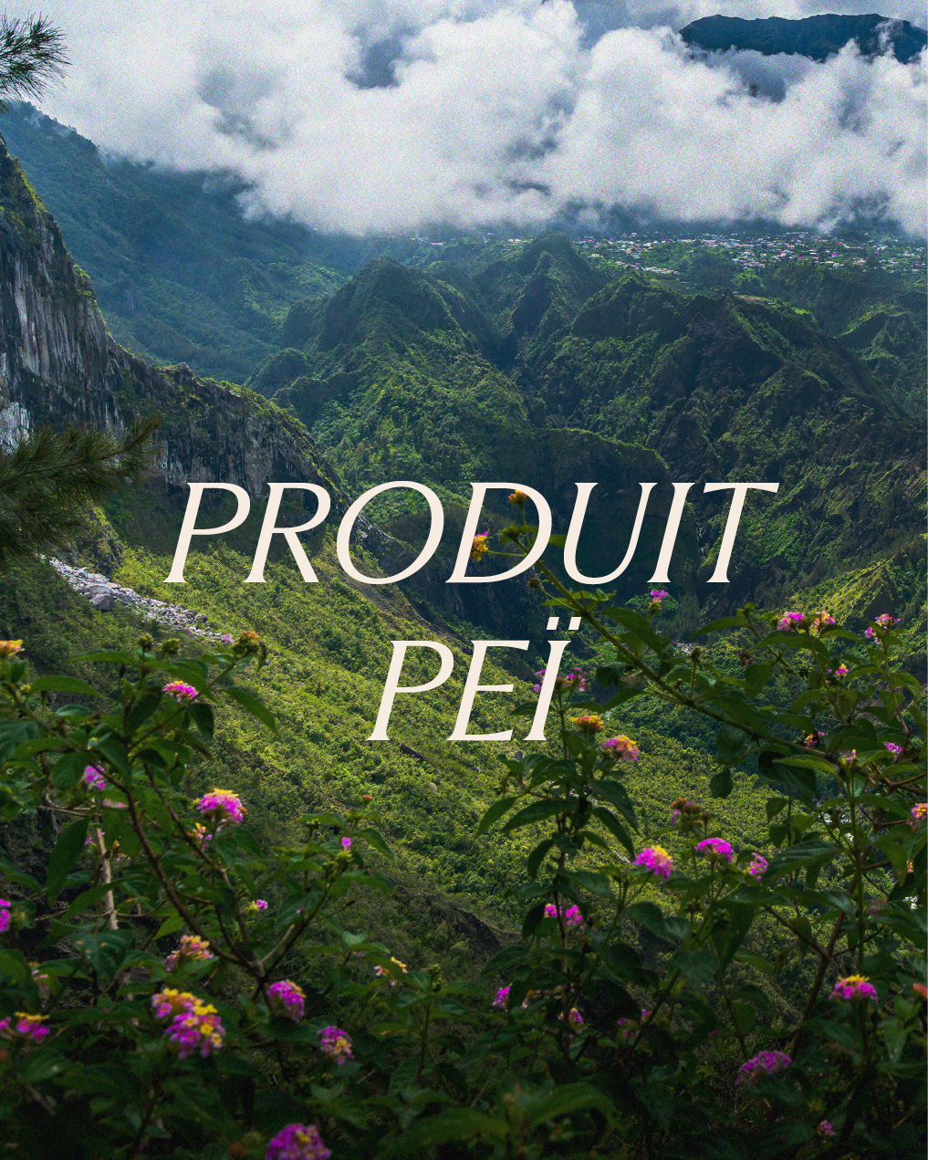 Huile essentielle Géranium rosat