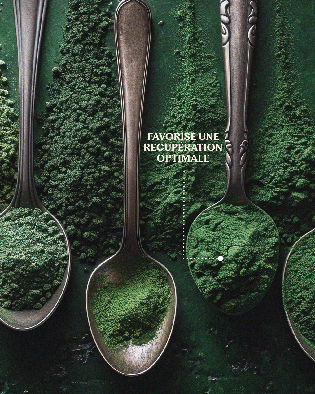 Spiruline • Poudre