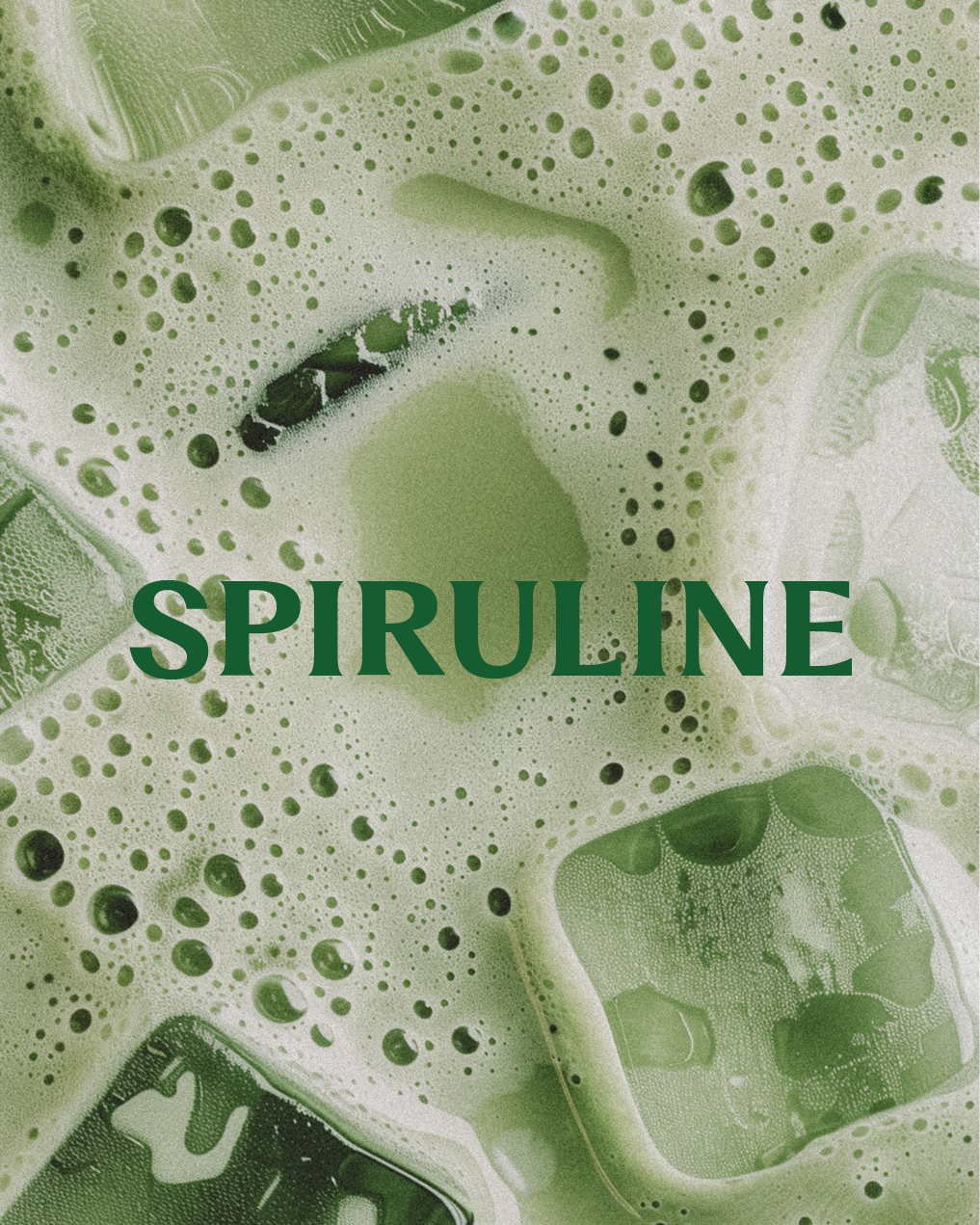 Spiruline • Poudre