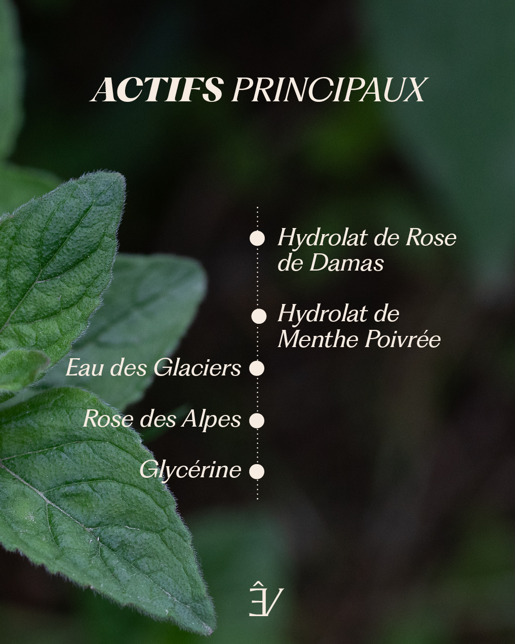 Brume visage tonique