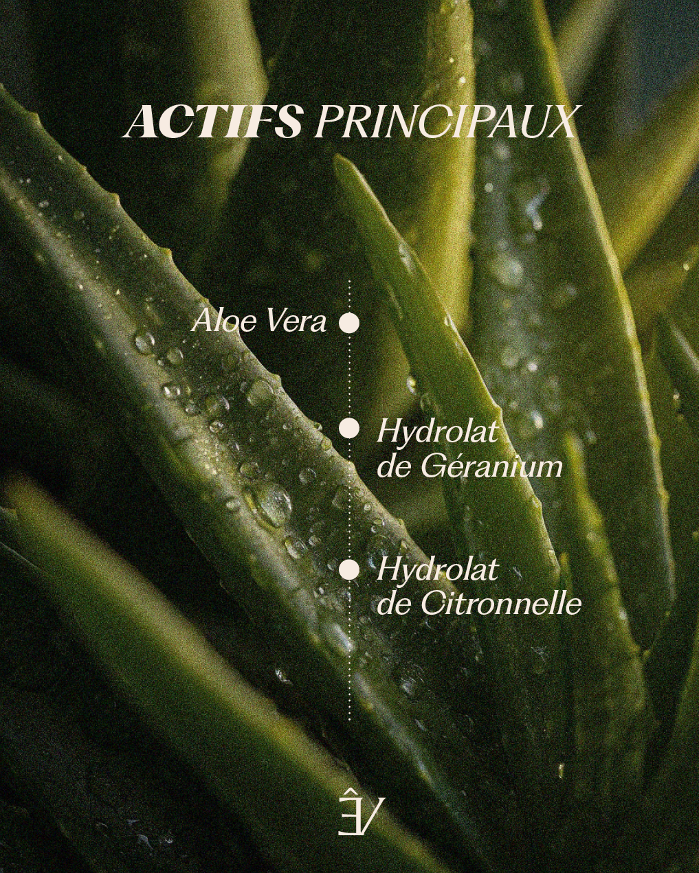Gel Aloe Vera en spray
