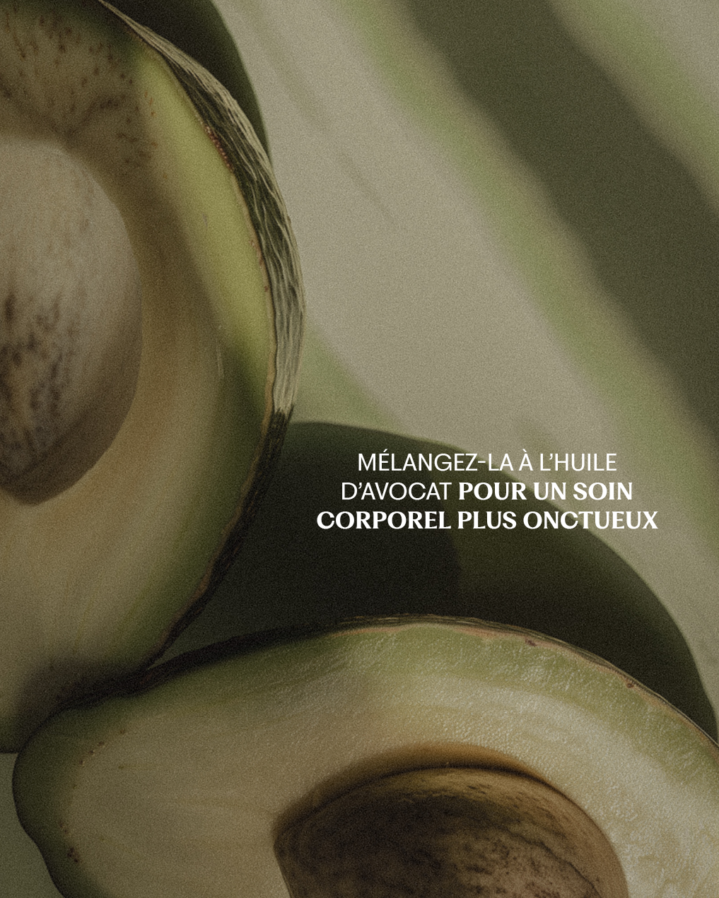 Huile végétale Olive Extra vierge BIO