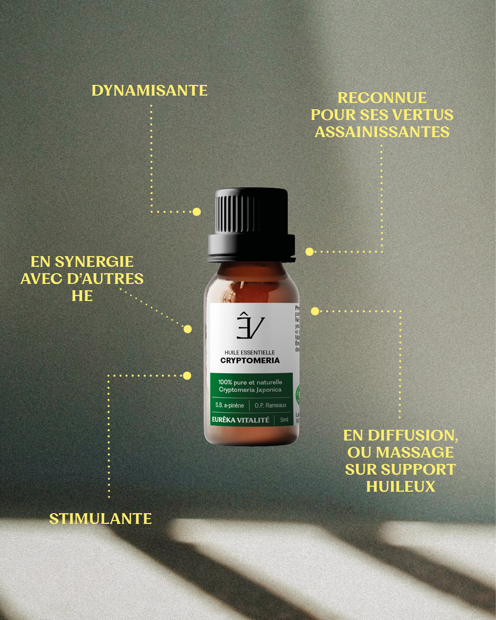 Huile essentielle Cryptomeria