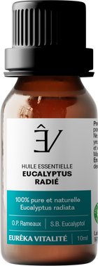 Huile essentielle Eucalyptus radié BIO