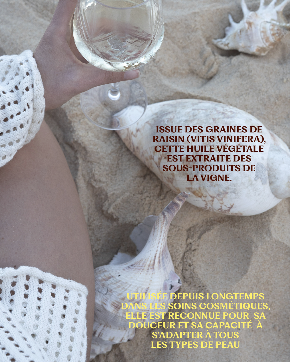 Huile végétale Pépins de raisin